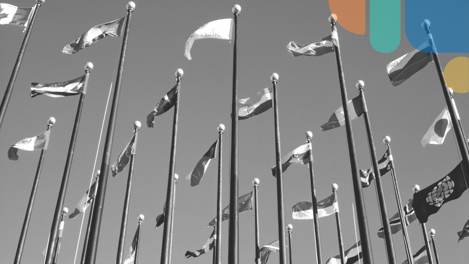 Spreedly Ppro Partner For Global Lpm Portfolio Spreedly